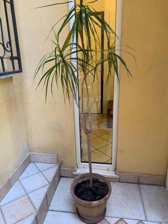 Biora Apartments Cagliari Exterior photo